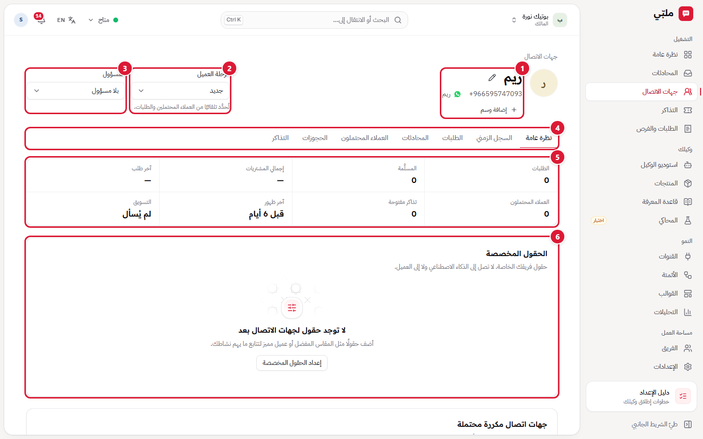 ملف العميل: نظرة عامة